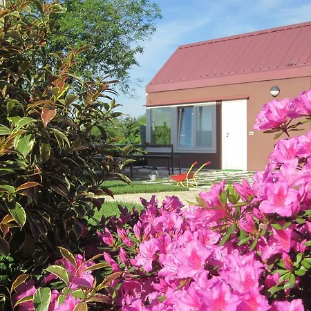 Bed & Breakfast Ingrappa Borso del Grappa